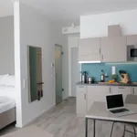 Rent 1 bedroom apartment of 35 m² in Dortmund