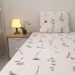 Rent a room in madrid