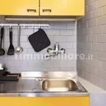 Rent 3 bedroom apartment of 50 m² in Bologna