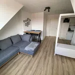 Rent 1 bedroom apartment of 50 m² in Kiel