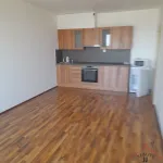 Rent 2 bedroom apartment of 59 m² in Prague