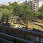 Rent 1 bedroom apartment of 30 m² in Milano