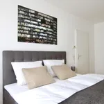 Rent 1 bedroom apartment of 452 m² in Cologne