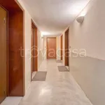 Rent 1 bedroom apartment of 35 m² in Torino