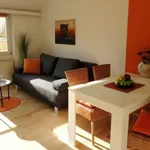 Miete 1 Schlafzimmer wohnung von 40 m² in Maria Enzersdorf