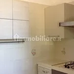 3-room flat good condition, ground floor, Castelfranco Emilia