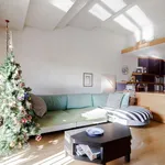 Rent 1 bedroom apartment in Florence