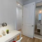 Rent 1 bedroom apartment in New York