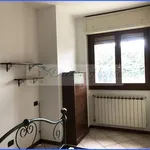 Rent 2 bedroom apartment of 53 m² in San Giuliano Milanese