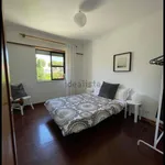 Rent 5 bedroom apartment in Lisbon