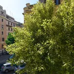 Rent 1 bedroom apartment in Rome