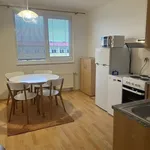 Pronájem bytu 1+1 36m²