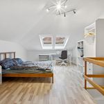 Miete 1 Schlafzimmer wohnung von 67 m² in Dresden