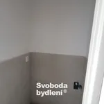 Pronajměte si 3 ložnic/e byt o rozloze 60 m² v Litvínov