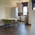 Rent 2 bedroom apartment of 58 m² in Rivalta di Torino