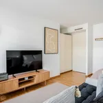 Miete 1 Schlafzimmer wohnung von 25 m² in Zürich