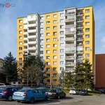 Rent 1 bedroom apartment of 35 m² in Plzeň