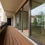 Rent 4 bedroom apartment of 113 m² in Leipzig