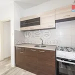 Rent 1 bedroom apartment of 29 m² in Ústí nad Labem