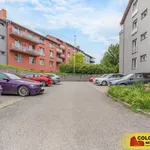 Pronajměte si 1 ložnic/e byt o rozloze 38 m² v Brno