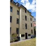 Rent 2 bedroom apartment of 53 m² in Dresden