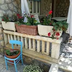 Rent 4 bedroom house of 110 m² in Pietrasanta