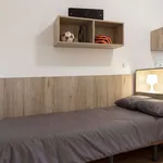 Rent 1 bedroom apartment in valencia