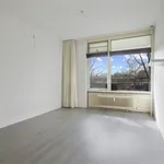 Rent 2 bedroom apartment of 77 m² in Amsterdam