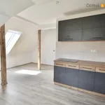 Rent 1 bedroom apartment of 55 m² in Ústí nad Labem