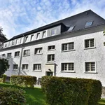 Rent 2 bedroom apartment of 47 m² in Chemnitz