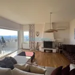 Rent 4 bedroom apartment of 160 m² in Vrilíssia