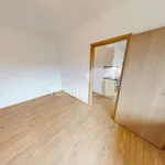 Rent 1 bedroom apartment of 22 m² in Světlá nad Sázavou