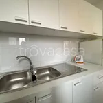 Rent 4 bedroom apartment of 110 m² in Torino