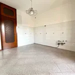 Rent 5 bedroom apartment of 110 m² in Ponte San Nicolò