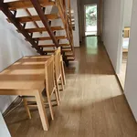 Rent 1 bedroom apartment in Brno