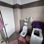 Rent 1 bedroom apartment in České Budějovice