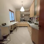 3-room flat excellent condition, first floor, Frascati