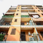 Rent 3 bedroom apartment of 79 m² in Casalnuovo di Napoli