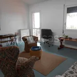 Rent 4 bedroom house of 100 m² in Orbetello