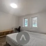 Rent 2 bedroom apartment of 48 m² in Brno