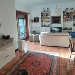 Rent 3 bedroom apartment of 98 m² in Roma