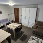 Rent 1 bedroom apartment in Brno