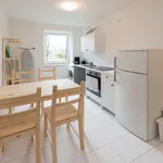 Rent 5 bedroom apartment in Munich