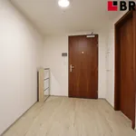 Rent 1 bedroom apartment of 50 m² in Brno