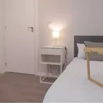 Rent 4 bedroom apartment in Madrid