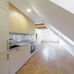 Rent 1 bedroom apartment of 47 m² in Capital City of Prague