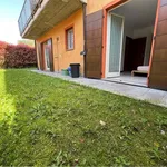 Rent 2 bedroom apartment of 60 m² in Besozzo