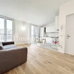 Rent 2 bedroom apartment of 58 m² in Milan