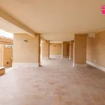 Rent 3 bedroom apartment of 90 m² in Roma