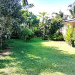 3 bedroom house with spacious garden for rent in Thalawathugoda